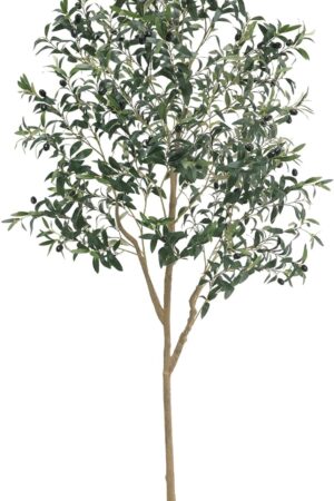 Artificial Olive Tree for Living Room Decor, 6FT Tall Faux Silk Plant Artificial Tree in Potted Oliver Branch Leaves and Fruits for Modern Home Decor Indoor
