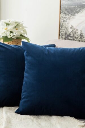 Pack of 2, Velvet Soft Solid Decorative Square Throw Pillow Covers Set Cushion Case for Spring Sofa Bedroom Car 18x18 Inch 45x45 Cm