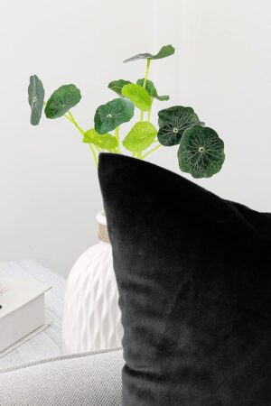 Decorative Throw Pillow Covers Pack of 2 Velvet Throw Pillow Cases for Couch Pillows Cover Bedroom Living Room Outdoor, Pillow Covers 20x20 Inch Black