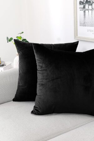 Decorative Throw Pillow Covers Pack of 2 Velvet Throw Pillow Cases for Couch Pillows Cover Bedroom Living Room Outdoor, Pillow Covers 20x20 Inch Black